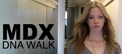 DNA Walk