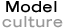Model Culture