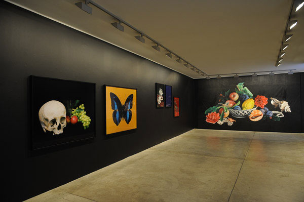 Wall of fame